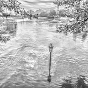 Vincent Brandon StevenéScu's photo