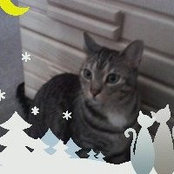 Madelyn Brower's photo