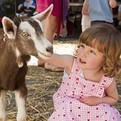 Anne Shirley's photo