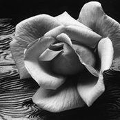 Photo de Heather VanHouten