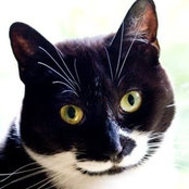 James Marohn's photo