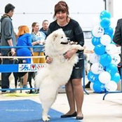 Foto von Морозова Галина