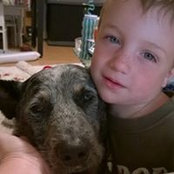 Stephanie Miller-Frankum's photo