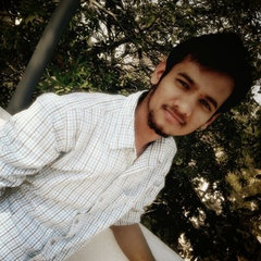 Raj visualization