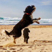 Katherine Dunlop's photo