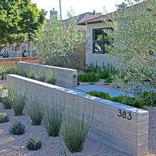 Landscaping/Gardens - Front & Side