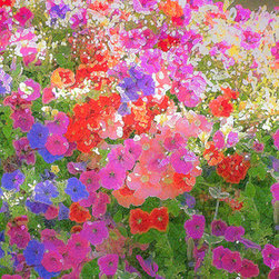 Douglas Page Photographic Arts - Petunia Panorama, Fine Art - Prints And Posters