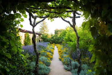 Design ideas for a mediterranean landscaping in San Francisco.