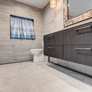 Modern Contemporary Bathroom Urbana IL