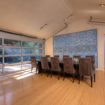Tiburon Modern