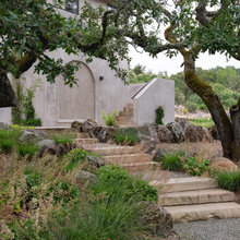 Landscaping Ideas