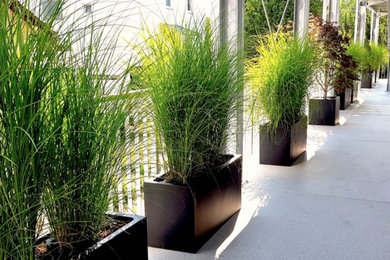 Moderne Terrasse in Stuttgart
