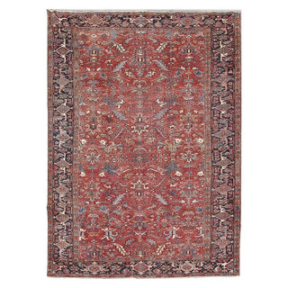 Modern Contemporary Traditional Oriental Area rug Royal Blue 8'x11