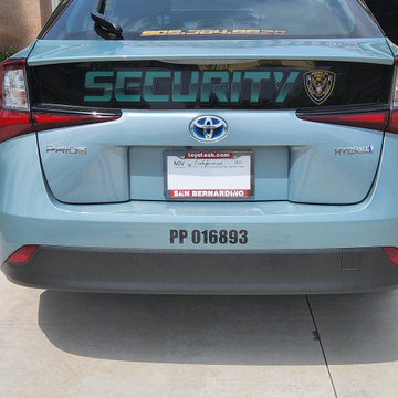 Private Security Service