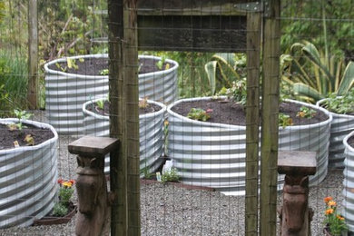 Design ideas for an eclectic landscaping in San Francisco.