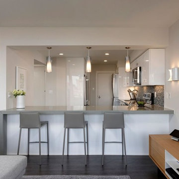 Northwest Washington, DC Renovated Condominium- Meridian Homes Inc.