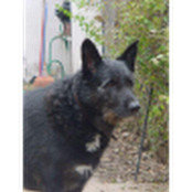virginia tapia's photo
