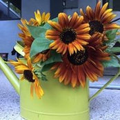Justine Ansell's photo