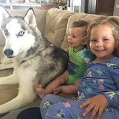 Kim Meyer's photo