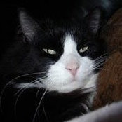 Cindy Wardrop's photo