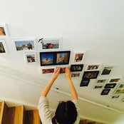 Shan Liu's photo