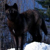 David Jensen's photo