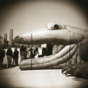 Robert Holmgren's photo