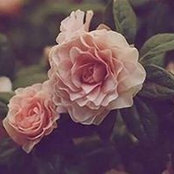 Radwa Mahmoud's photo