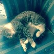Ruby Stafford's photo