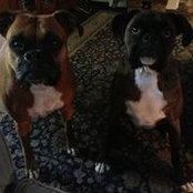 Josey Payne's photo