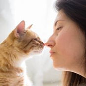 Yulia Novak's photo