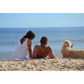 Clara Palma's photo