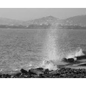 Bill Rigakos's photo