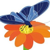 Gérard Helfter's photo
