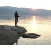 Alex Baxter's photo