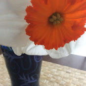 Karen Keohan's photo