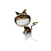 Mirela Velescu's photo