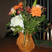 Laura Detweiler's photo