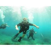 Andrei Teodorescu's photo