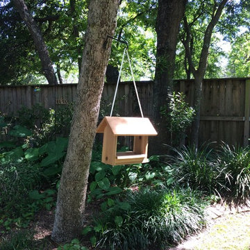 Bird Feeder