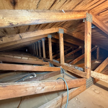 Mold Remediation Service in Attic
