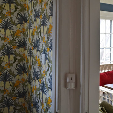 Vibrant Colonial