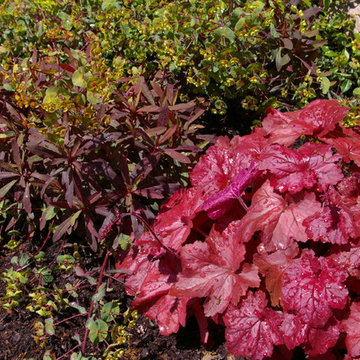 A Landscape of Constant Color