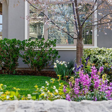 Willow Glen Property Restored from the Ground Up