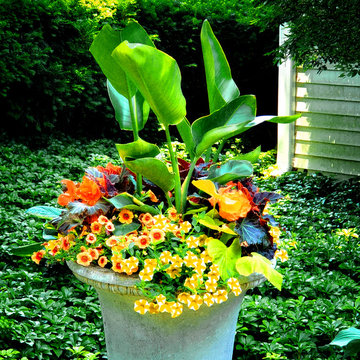 Yearlong Container Gardening