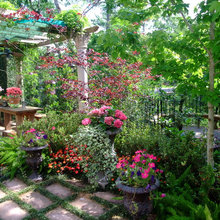 Patio Ideas
