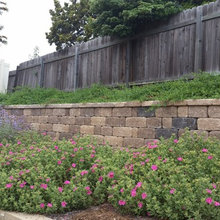 Retaining Wall