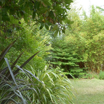 Los Altos Landscape Garden Design - Green Patio