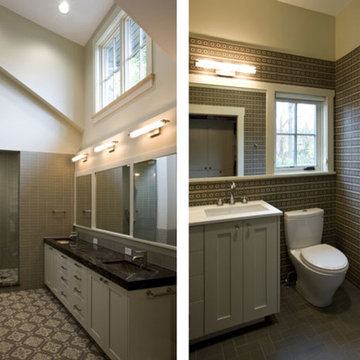 Green New Home Construction - Wilmette, IL