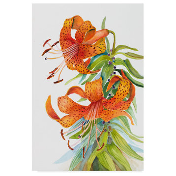 Joanne Porter 'Tiger Lilies' Canvas Art, 32"x22"